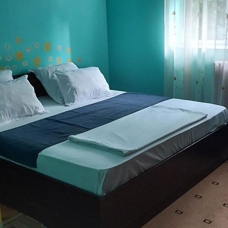 Apartament Gara Mica Apartment Arad Exterior photo