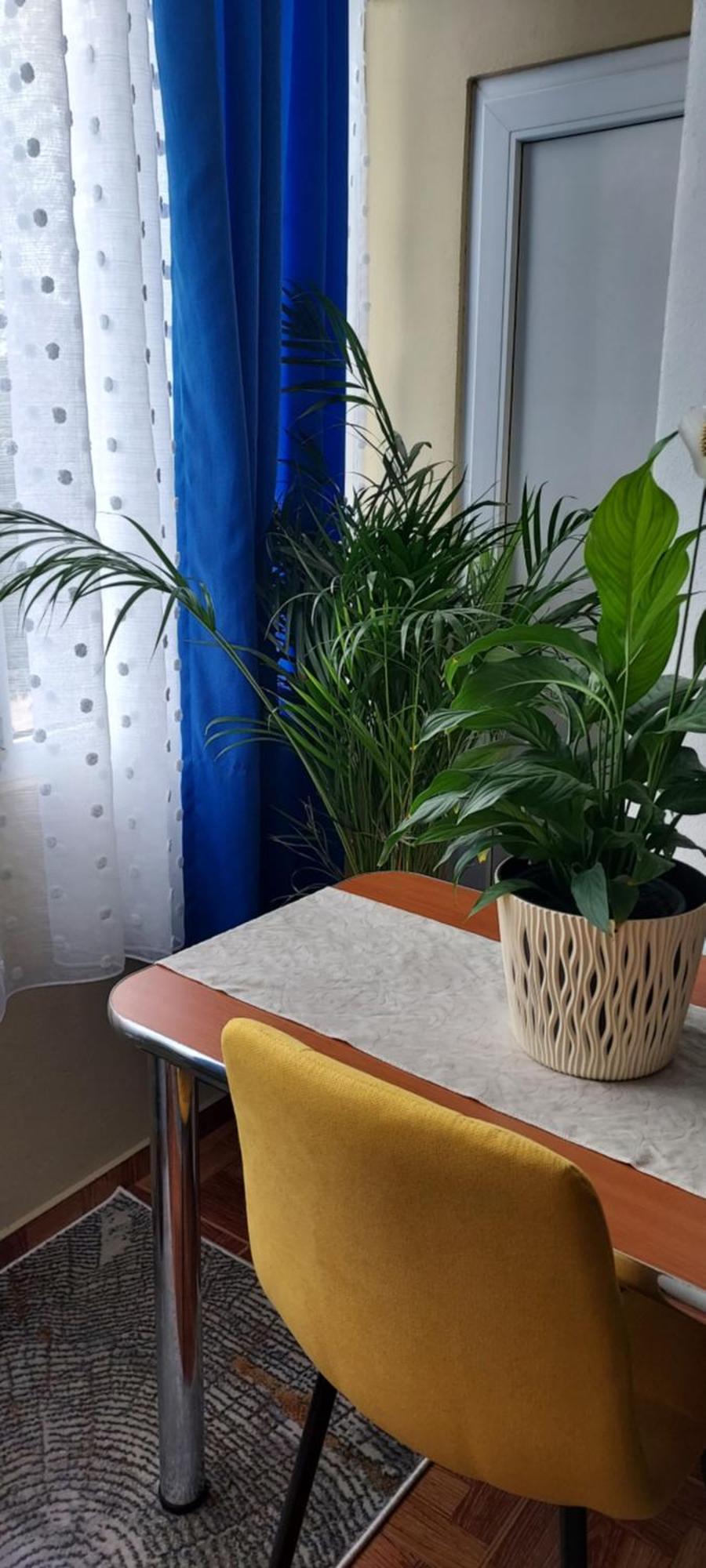 Apartament Gara Mica Apartment Arad Exterior photo