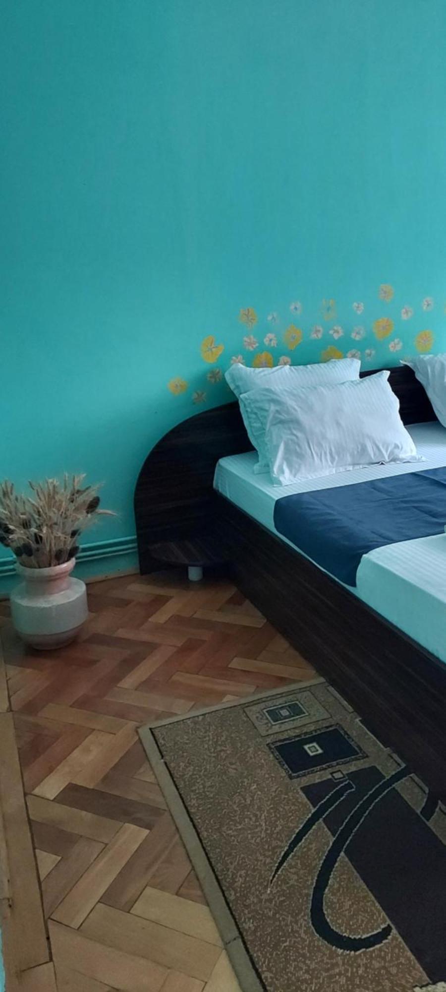 Apartament Gara Mica Apartment Arad Exterior photo